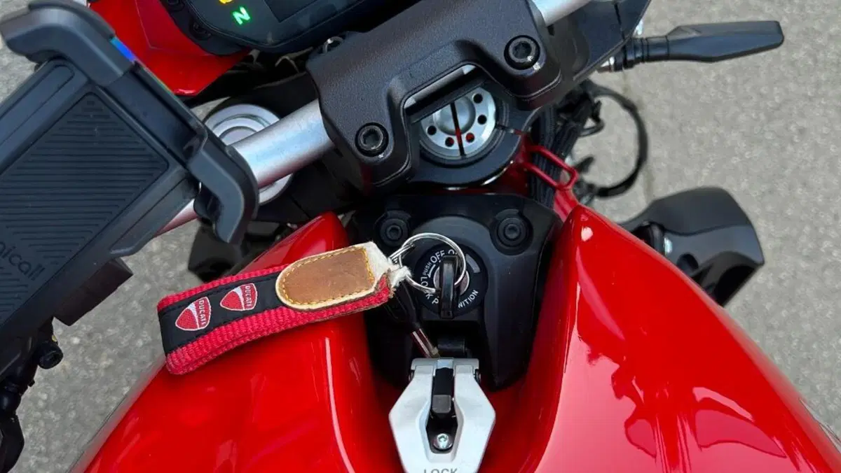 Ducati Monster 821 (2018 - 20)  (8)