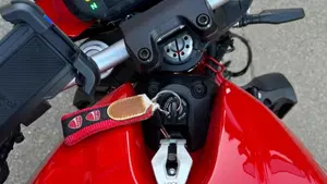 Ducati Monster 821 (2018 - 20)  (8)