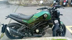 Benelli Leoncino 125 (2022 - 25)  (3)
