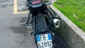 Benelli Leoncino 125 (2022 - 25)  (4)