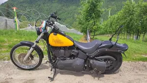 Harley-Davidson 1584 Night Train (2006 - 07) - FXSTB  (3)