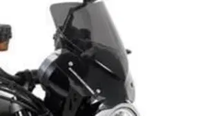Kawasaki Z 900 RS (2021)  (5)