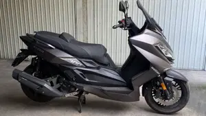 Wottan Motor Storm-S 300 (2020 - 25)  (4)