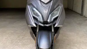 Wottan Motor Storm-S 300 (2020 - 25) 