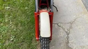 Fantic Motor   (2)