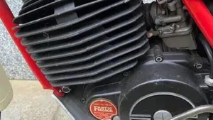 Fantic Motor   (6)