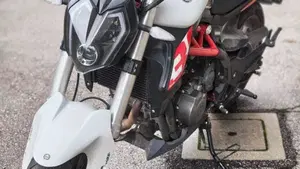 Benelli BN 302 S (2019 - 20)  (2)
