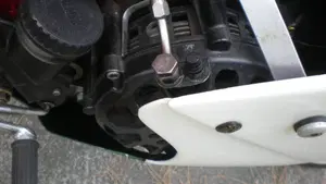 Ducati   (5)
