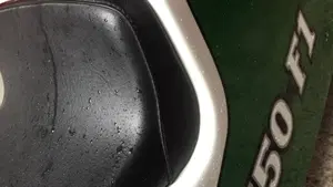 Ducati   (9)