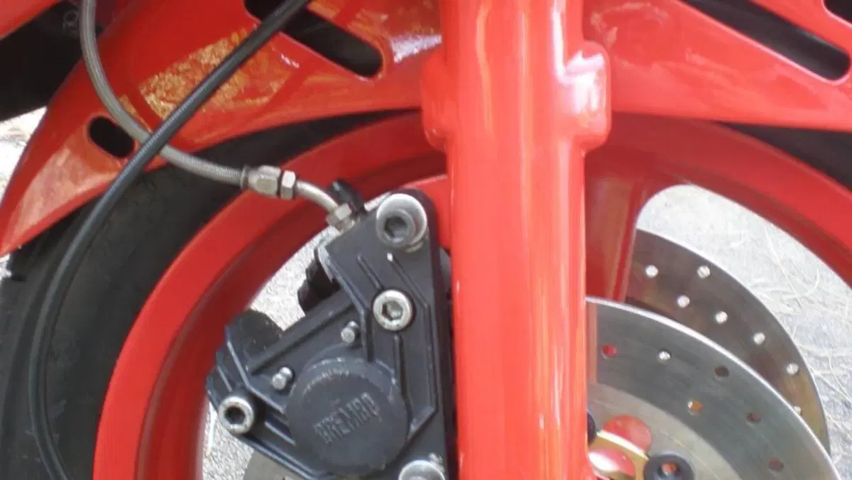 Ducati   (10)