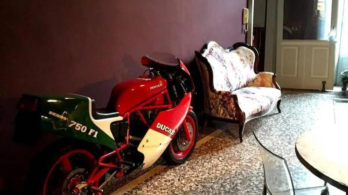 Ducati   (16)