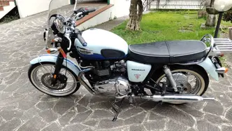 Triumph Bonneville T100 50th Anniversary (2009) usata