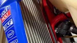 Betamotor RR 300 2T Enduro Racing (2023)  (5)