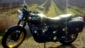 Kawasaki W 800 (2010 - 17)  (2)