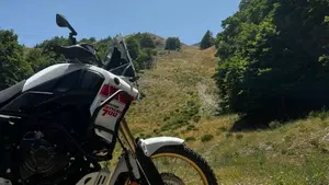 Yamaha Ténéré 700 Rally Edition (2022 - 24)  (5)