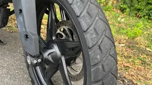 Bmw G 310 GS Edition 40 Years GS (2021)  (8)