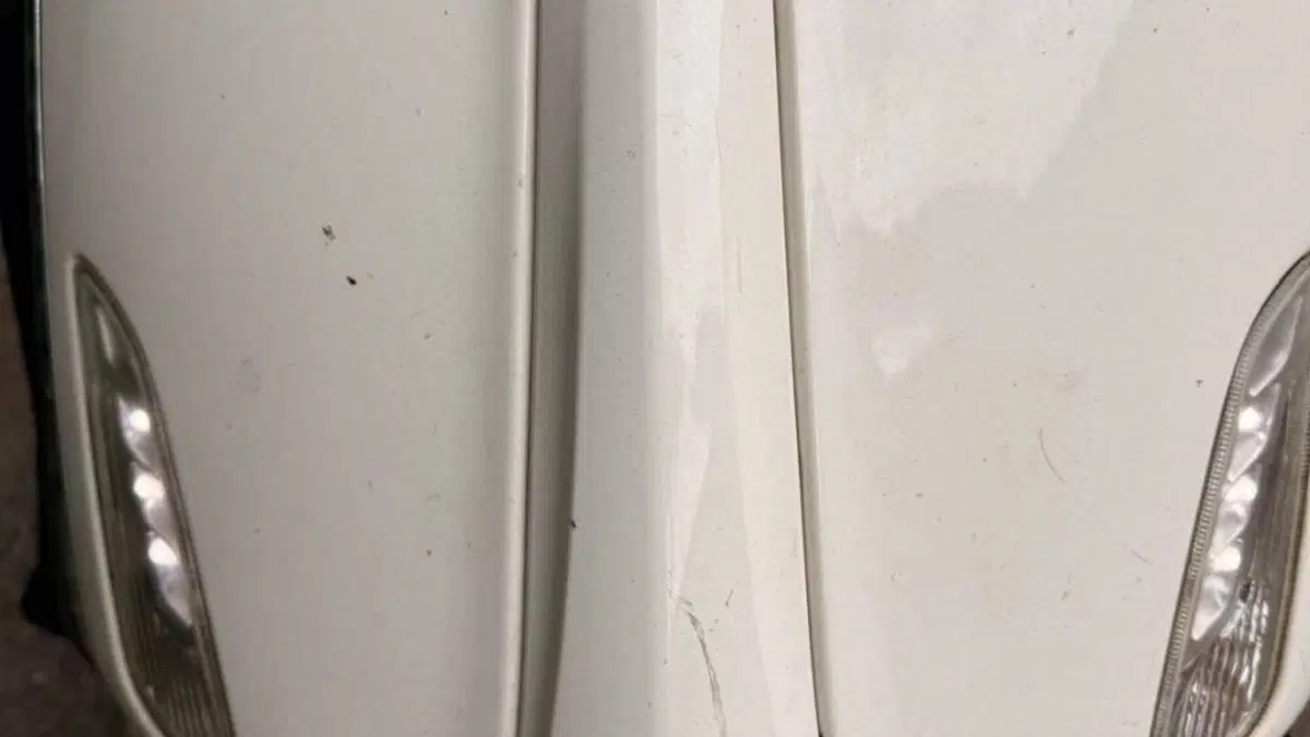 Vespa Primavera 150 3V ABS (2018 - 19)  (9)