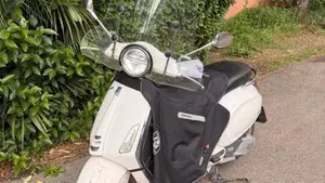 Vespa Primavera 150 3V ABS (2018 - 19)  (11)