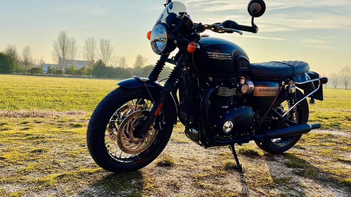 Triumph Bonneville T120 Gold Line Edition (2022 - 23)  (3)