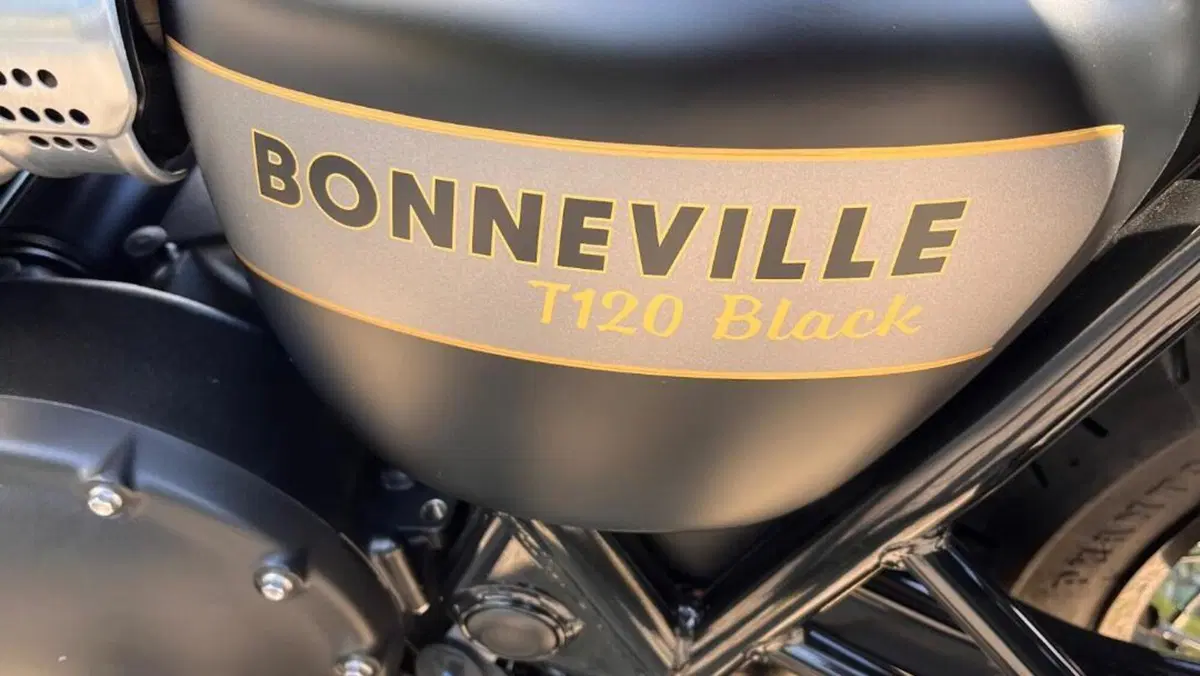Triumph Bonneville T120 Gold Line Edition (2022 - 23)  (6)