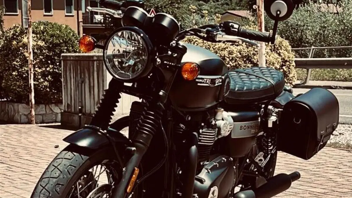 Triumph Bonneville T120 Gold Line Edition (2022 - 23)  (8)