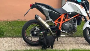 KTM 690 Duke R (2010 - 15)  (9)