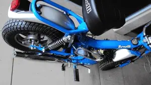 Benelli   (4)
