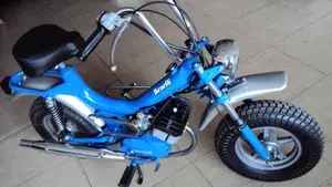 Benelli   (7)