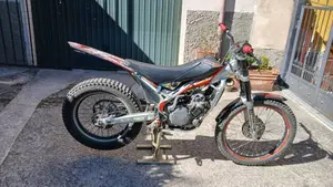 Betamotor Evo 300 4t (2010 - 11)  (4)