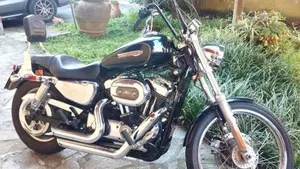Harley-Davidson 1200 Custom (2007 - 13) - XL 1200C 
