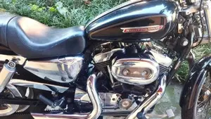 Harley-Davidson 1200 Custom (2007 - 13) - XL 1200C  (2)