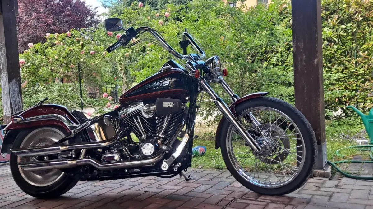 Harley-Davidson 1450 Deuce (2001 - 05) - FXSTDI  (19)