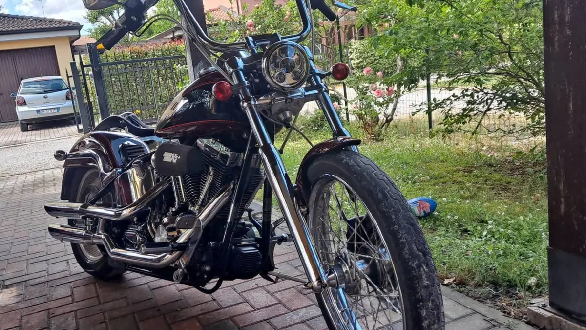 Harley-Davidson 1450 Deuce (2001 - 05) - FXSTDI  (20)