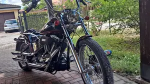 Harley-Davidson 1450 Deuce (2001 - 05) - FXSTDI  (20)