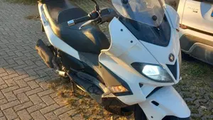 Gilera Nexus 300 (2007 - 13)  (5)