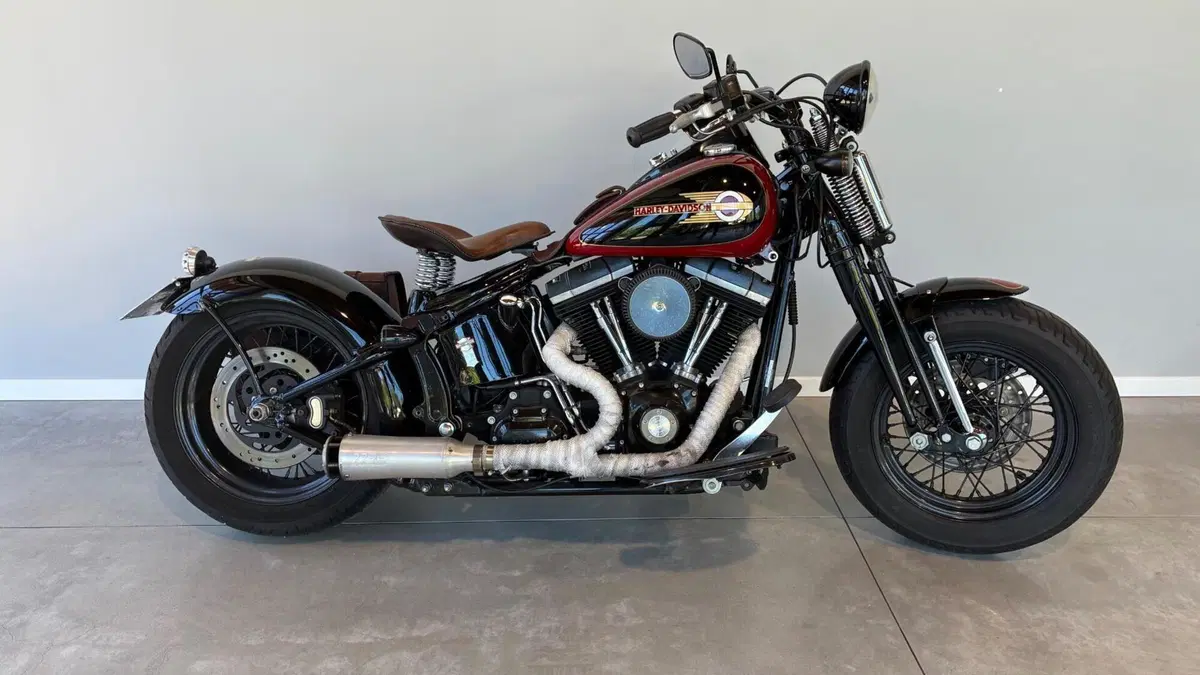 Harley-Davidson 1584 Cross Bones (2008 - 11) - FLSTSB  (2)