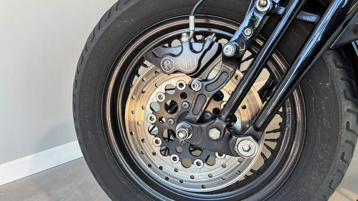 Harley-Davidson 1584 Cross Bones (2008 - 11) - FLSTSB  (6)