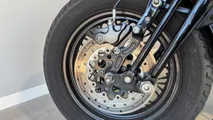 Harley-Davidson 1584 Cross Bones (2008 - 11) - FLSTSB  (6)