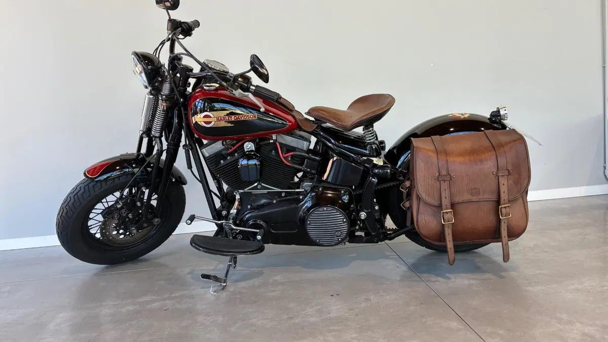 Harley-Davidson 1584 Cross Bones (2008 - 11) - FLSTSB 