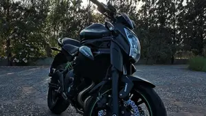 Kawasaki ER-6N ABS (2012 - 16)  (2)
