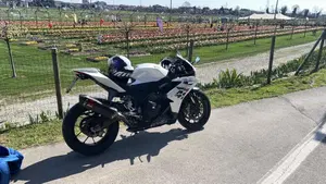 Aprilia RSV4 R (2009 - 12)  (4)