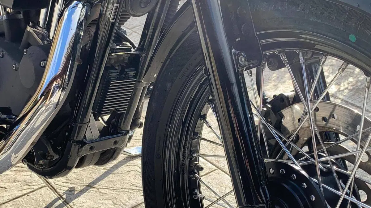 Harley-Davidson XL 1200N Nightster (2008 - 12)  (4)