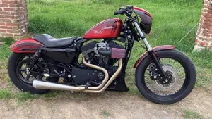 Harley-Davidson 1200 Roadster (2006 - 08) - XL 1200R  (9)