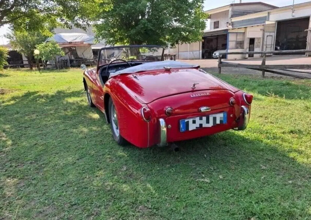 Triumph TR 3 A   (4)