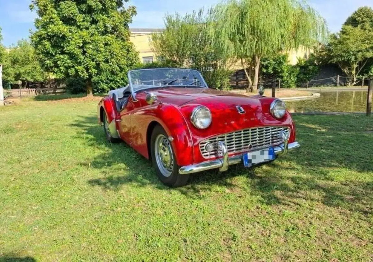 Triumph TR 3 A   (6)