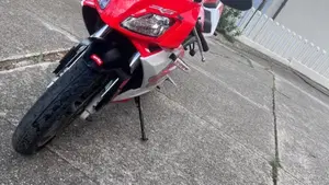 Aprilia RS 50 (2006 - 13)  (2)