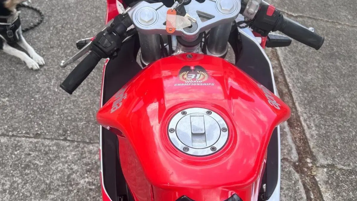 Aprilia RS 50 (2006 - 13)  (3)