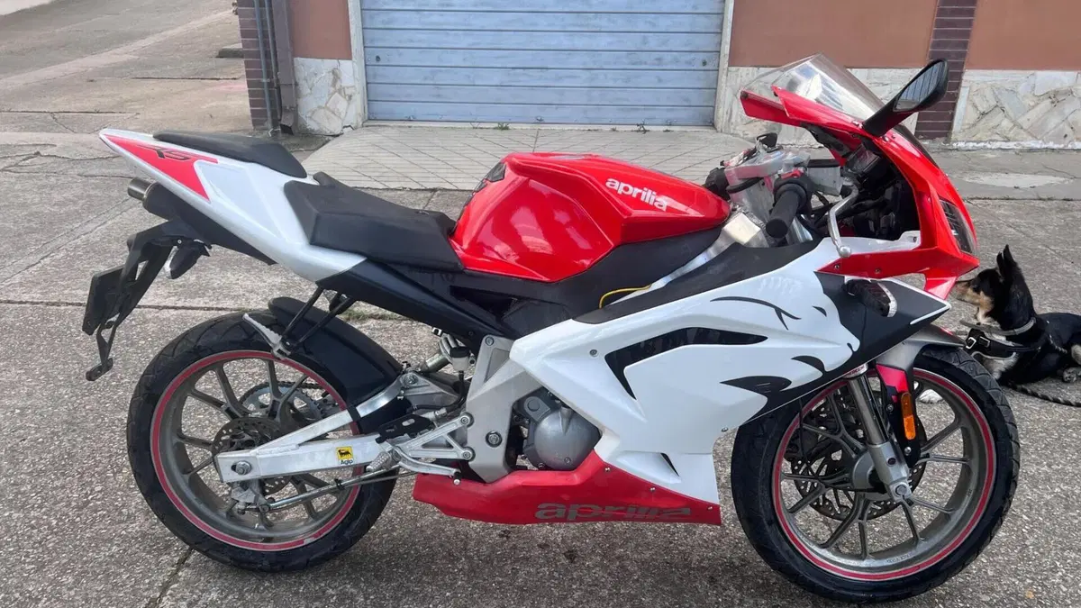 Aprilia RS 50 (2006 - 13)  (4)