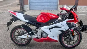 Aprilia RS 50 (2006 - 13)  (4)