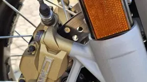 Bmw R 1250 GS (2019 - 20)  (14)